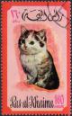Colnect-978-727-Cat-Felis-silvestris-catus.jpg
