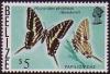 Colnect-455-123-Dark-Zebra-Swallowtail-Eurytides-philolaus.jpg