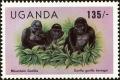 Colnect-4915-210-Mountain-Gorilla-Gorilla-gorilla-beringei.jpg