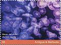 Colnect-6446-204-Moon-Jellyfish-Aurelia-aurita.jpg