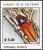 Colnect-5557-971-Callipogon-barbatus.jpg