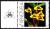 Colnect-2995-797-Maxillaria-guareimensis.jpg
