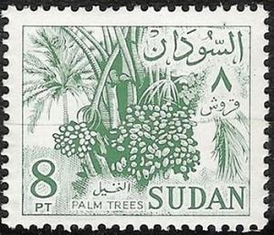 Colnect-3084-978-Date-palm-Phoenix-dactylifera.jpg