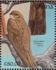 Colnect-1459-779-African-Palm-Swift%C2%A0Cypsiurus-parvus.jpg