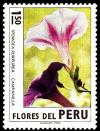 Colnect-1406-447-Peruvian-flowers---Ipomoea-purpurea.jpg