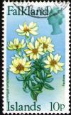 Colnect-2240-549-Flower-Definitive.jpg