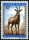 Colnect-4439-938-Roan-Antelope-Hippotragus-equinus.jpg