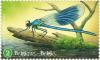 Colnect-5161-196-Calopteryx-splendens.jpg