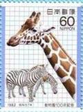 Colnect-768-791-Giraffe-Giraffa-camelopardalis-Zebras-Equus-quagga-sp-.jpg