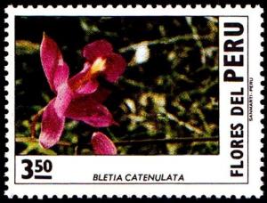 Colnect-1406-450-Peruvian-flowers---Bletia-catenulata.jpg