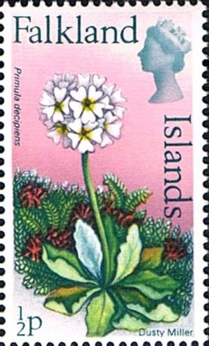 Colnect-3492-863-Flower-Definitive.jpg