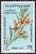 Colnect-4511-175-Flowers-of-Acacia.jpg
