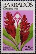 Colnect-1109-955-Alpinia-purpurata.jpg