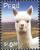 Colnect-1557-467-Alpaca-Lama-pacos.jpg
