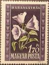Colnect-597-946-Bluebells-Campanula-carpatica.jpg