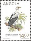 Colnect-1107-826-Palm-nut-Vulture-Gypohierax-angolensis.jpg