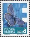 Colnect-4807-880-Mazarine-Blue-Polyommatus-semiargus.jpg