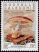 Colnect-857-116-Volvaria-bombycina.jpg