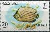 Colnect-5639-399-Ornate-Butterflyfish-Chaetodon-ornatissimus.jpg