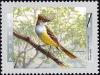Colnect-588-660-Great-Crested-Flycatcher-Myiarchus-crinitus-.jpg