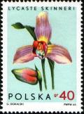 Colnect-3066-475-Lycaste-skinneri.jpg