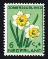 Colnect-2192-570-Wild-Daffodil-Narcissus-pseudonarcissus.jpg