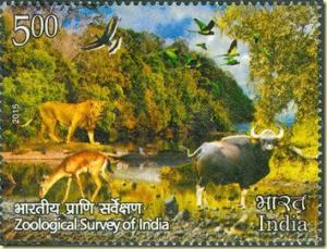 Colnect-3523-617-Zoological-Survey-Of-India---5-RS.jpg