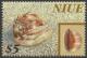 Colnect-4711-744-Shell-from-Pacific-Ocean.jpg
