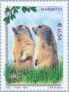 Colnect-182-407-Alpine-Marmot-Marmota-marmota.jpg