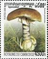 Colnect-2049-769-Amanita-phalloides.jpg