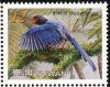 Colnect-2516-090-Taiwan-Blue-Magpie----Urocissa-caerulea.jpg
