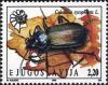 Colnect-875-623-European-Calosoma-Beetle-Calosoma-sycophanta.jpg