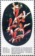 Colnect-3012-879--ldquo-Arachnis-Maggie-Oei-x-Vanda-rdquo--Rodman.jpg
