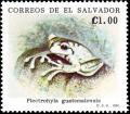 Colnect-3202-847-Guatemala-Spikethumb-Frog-Plectrohyla-guatemalensis.jpg