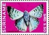 Colnect-3489-935-Blue-Metalmark-Lasaia-sula.jpg