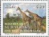 Colnect-873-665-Giraffe-Giraffa-camelopardalis-Kruger-National-Park.jpg
