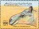 Colnect-5470-280-Camelus-dromedarius.jpg