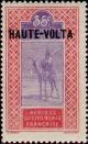 Colnect-6141-292-Dromedary-Camelus-dromedarius-with-Rider.jpg