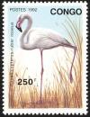 Colnect-2298-148-Greater-Flamingo-Phoenicopterus-roseus.jpg