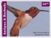 Colnect-2977-576-Allen-s-Hummingbird-Selasphorus-sasin.jpg