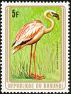 Colnect-3097-626-Lesser-Flamingo-Phoeniconaias-minor.jpg