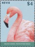Colnect-4412-946-Greater-Flamingo-Phoenicopterus-roseus.jpg