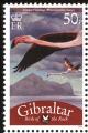 Colnect-2172-192-Greater-Flamingo-Phoenicopterus-roseus.jpg