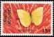 Colnect-2236-513-Migrant-sulphur.jpg