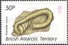 Colnect-1567-954-Ammonite-Ainoceras.jpg