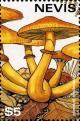 Colnect-2051-522-Gymnopilus-junonius.jpg