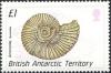 Colnect-1567-955-Ammonite-Gunnarites.jpg