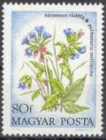 Colnect-531-368-Pulmonaria-mollissima.jpg