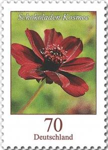 Colnect-2990-789-Cosmos-atrosanguineus.jpg