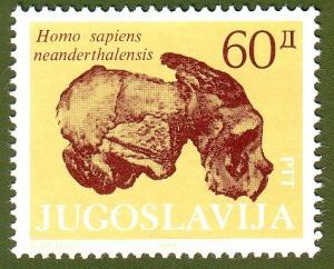 Colnect-1432-488-Fossil---Homo-sapiens-neanderthalesis.jpg